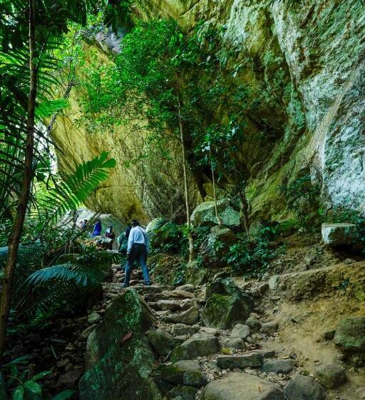 Hôtel The Forrest Inn