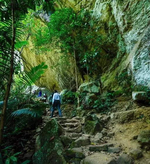 Hotelli The Forrest Inn