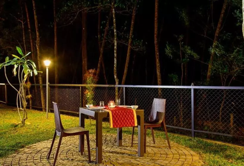 Hotelli The Forrest Inn