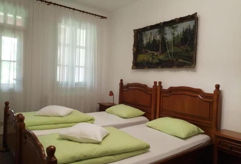 Pensjonat Cabana Basmelor Cu Ciubar