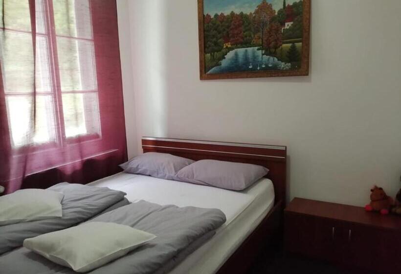 Pensjonat Cabana Basmelor Cu Ciubar