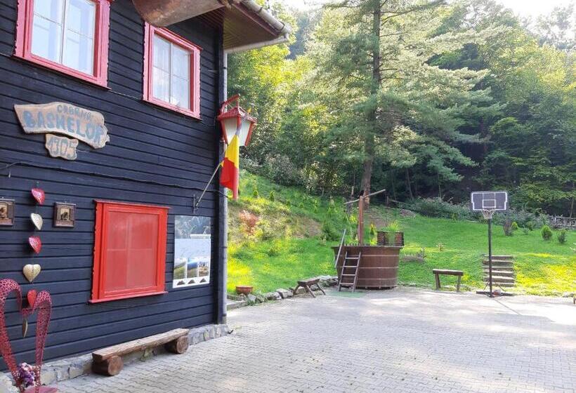 Pensjonat Cabana Basmelor Cu Ciubar