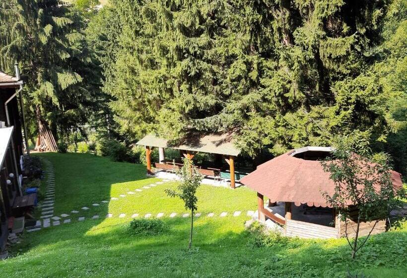 Pensjonat Cabana Basmelor Cu Ciubar