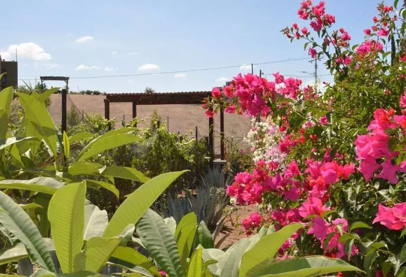 Hotelli Casa Berty 5