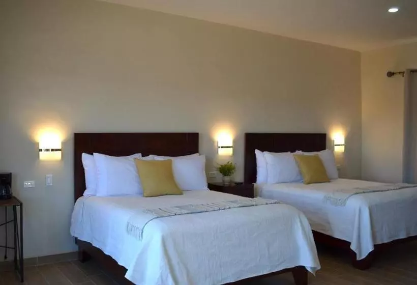 Hotelli Casa Berty 5