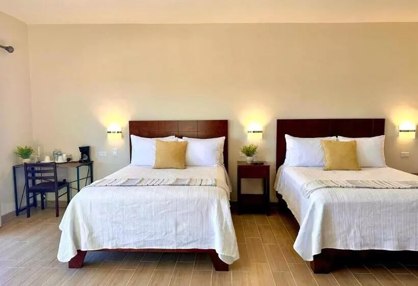 Hotelli Casa Berty 5