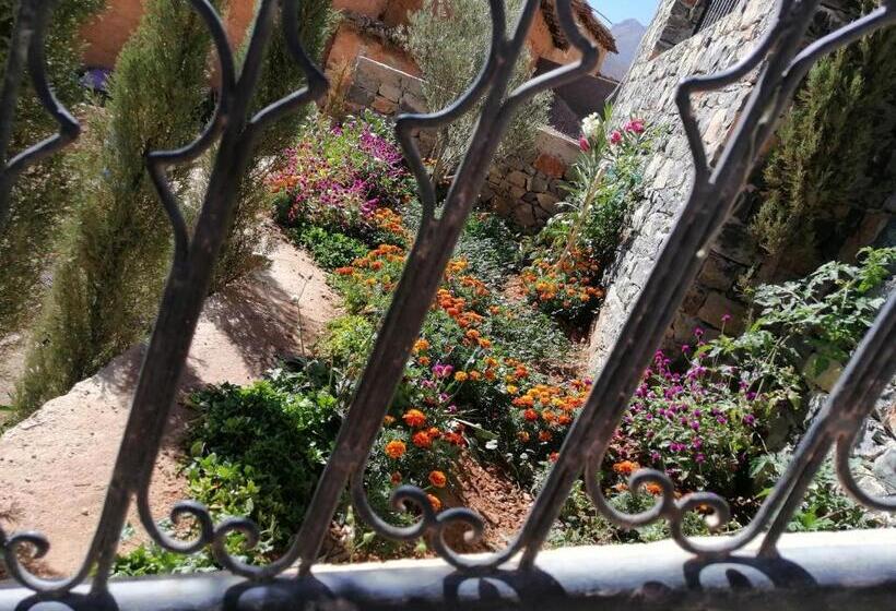 Hotell Gite Chez Ali Agouti Maison Berbère