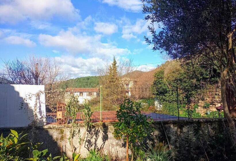 بنسيون Chambre D Hôte