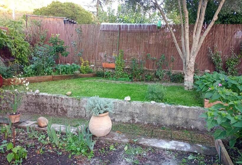 بنسيون Chambre D Hôte