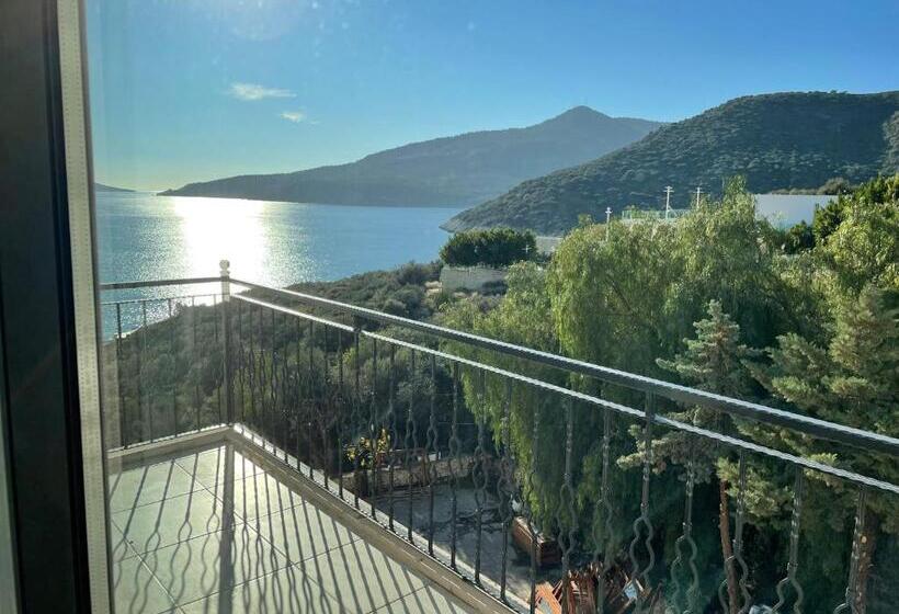 Panzió Deluxe Süit 205