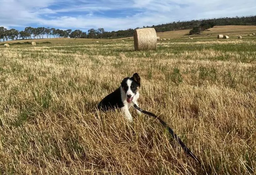 Majatalo Mount Charles Homestead