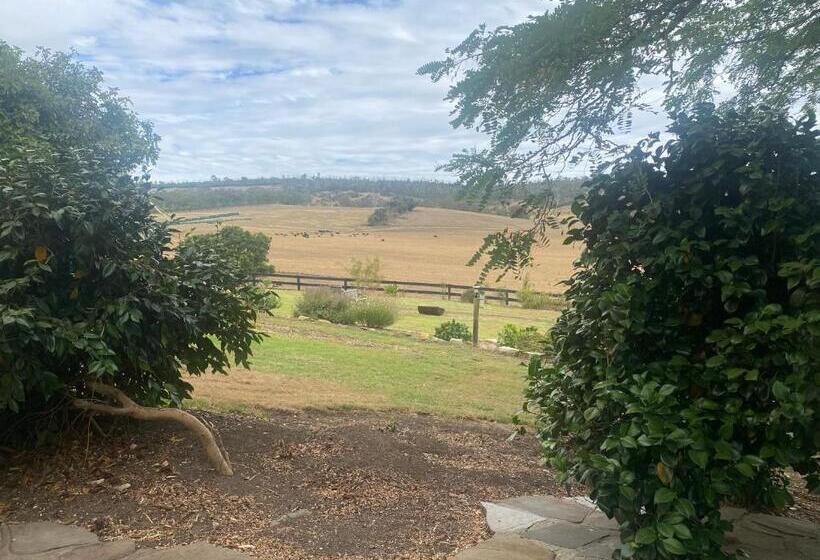 פנסיון Mount Charles Homestead