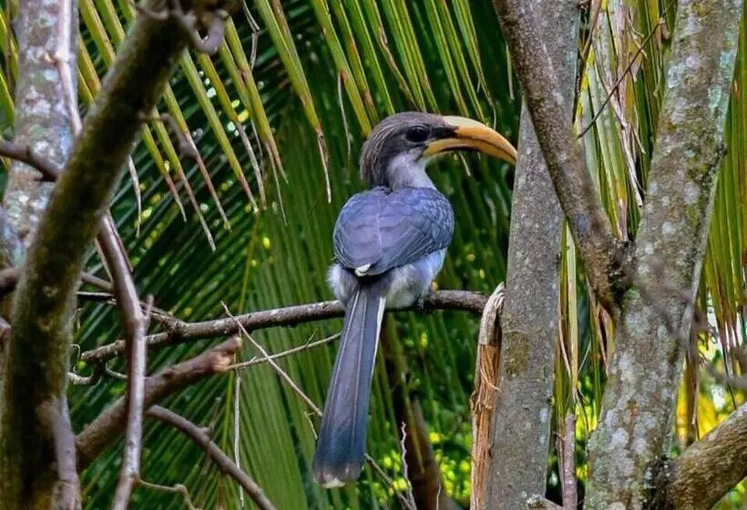 Majatalo Rock View Home