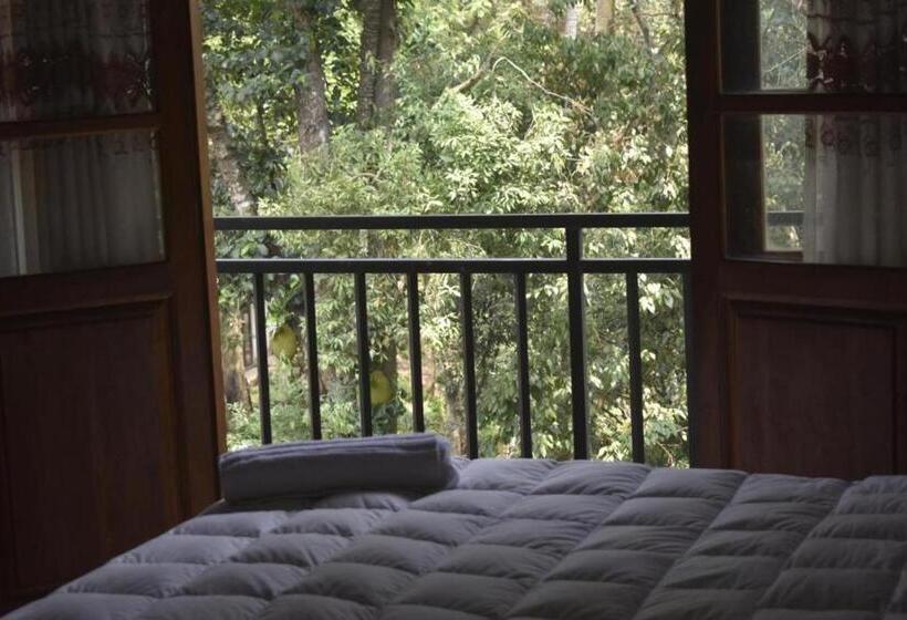 膳宿费 Rock View Home