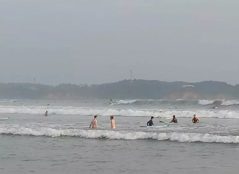 ベッドアンドブレックファースト Saman Resort Surfers Paradise
