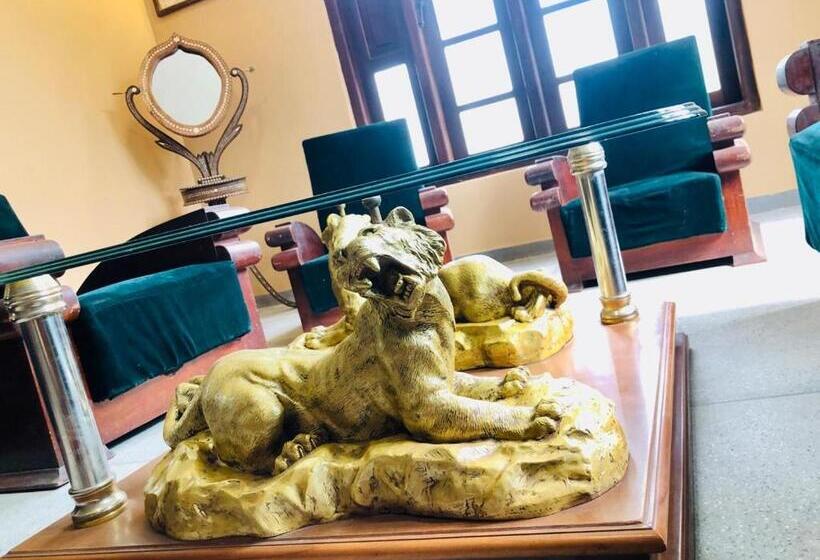 Bed and Breakfast Saman Resort Surfers Paradise