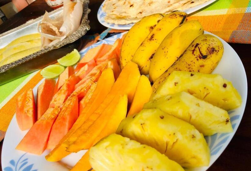 Bed and Breakfast Saman Resort Surfers Paradise