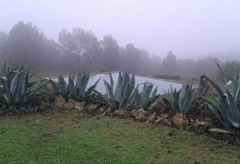 ホテル Casa Rural En Pleno Paraje Natural La Chirala