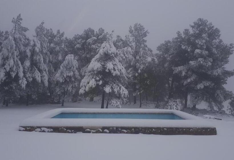 Отель Casa Rural En Pleno Paraje Natural La Chirala