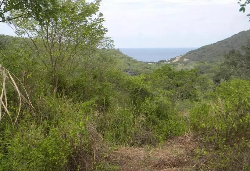 ホテル Centro Vacacional Recreasana