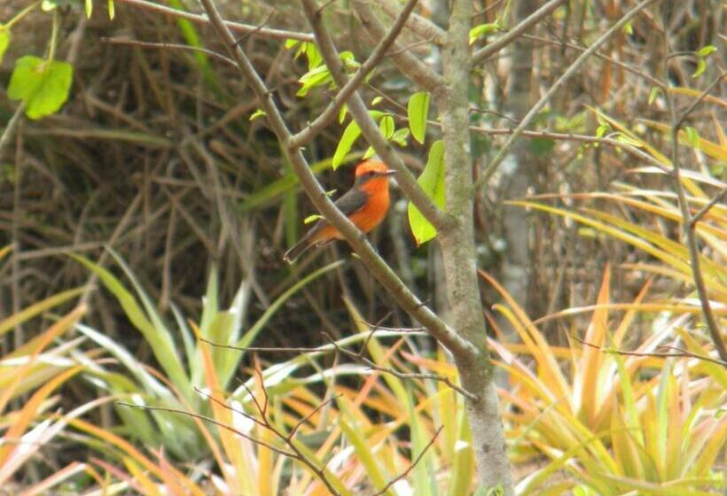 Отель Centro Vacacional Recreasana