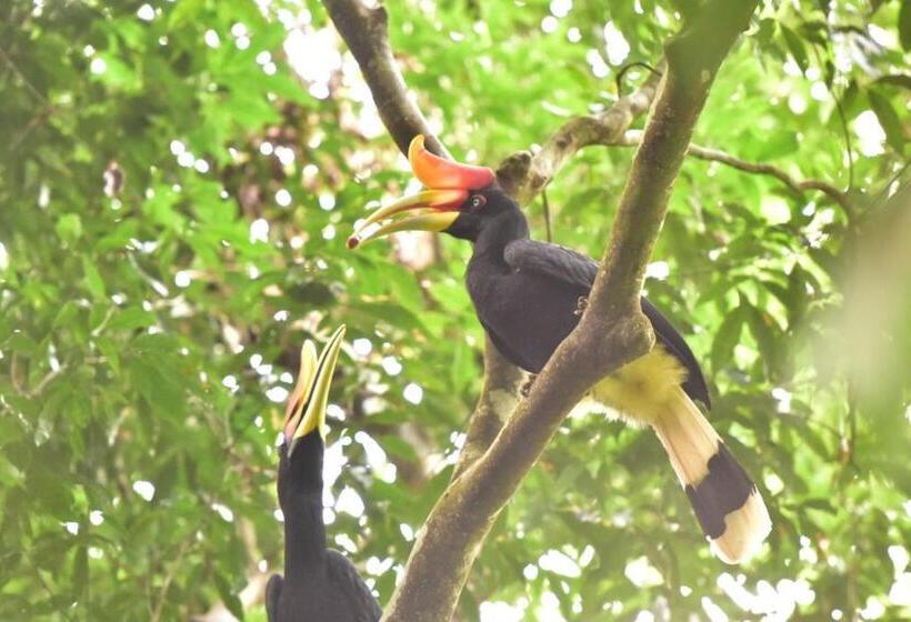 Отель R5 Keramba Inn