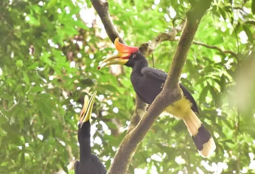 Hotelli R5 Keramba Inn