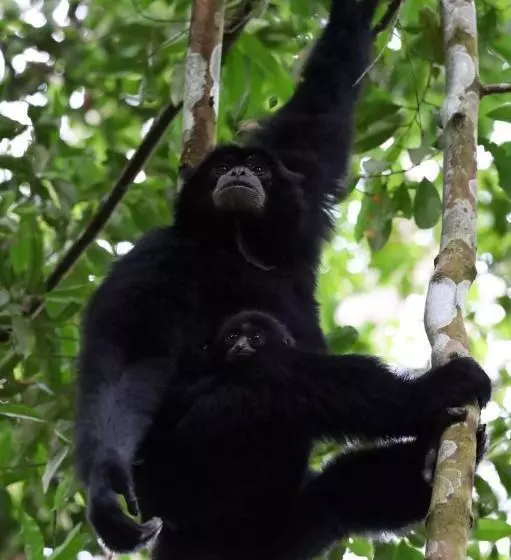 Hotelli R5 Keramba Inn