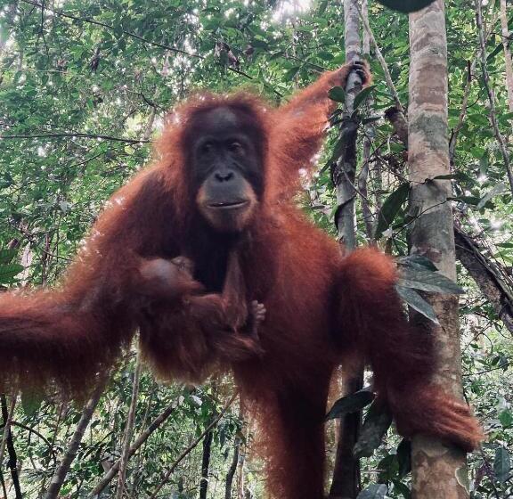 Отель R5 Keramba Inn