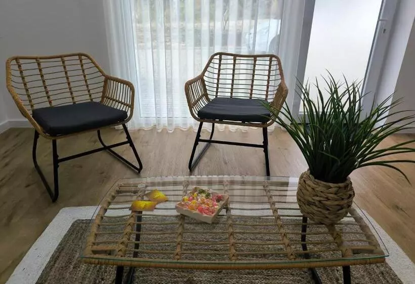 ホテル Suitel Pombal