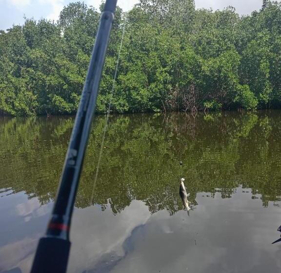 پانسیون El Puente