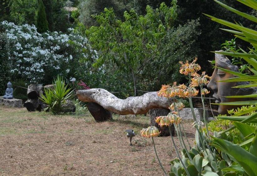 膳宿费 Le Clos Ficarella