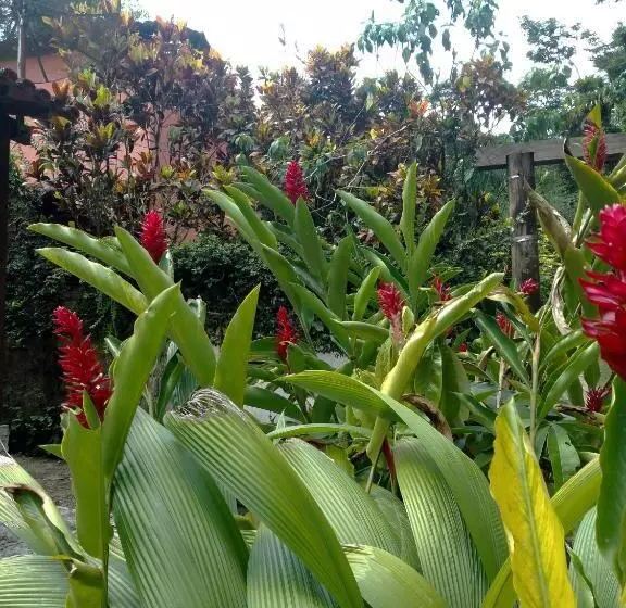 پانسیون Onça Parda Hospedagens Com Cachoeira Privativa