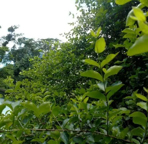 پانسیون Onça Parda Hospedagens Com Cachoeira Privativa