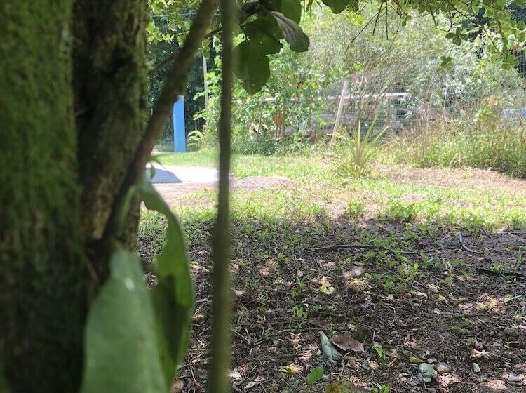 پانسیون Onça Parda Hospedagens Com Cachoeira Privativa