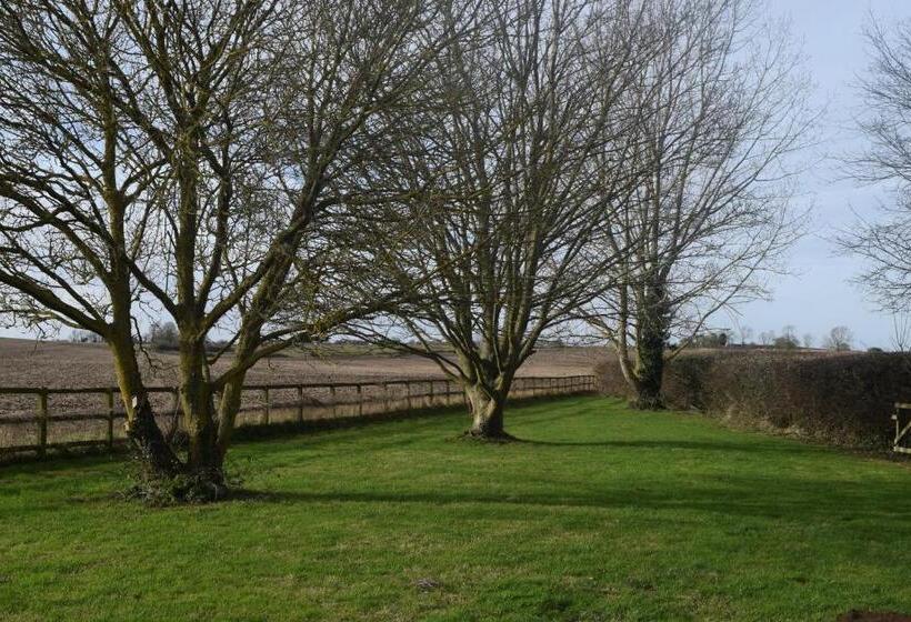 住宿加早餐 Spa Serviced Apartments Luna R&r