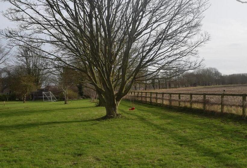 住宿加早餐 Spa Serviced Apartments Luna R&r