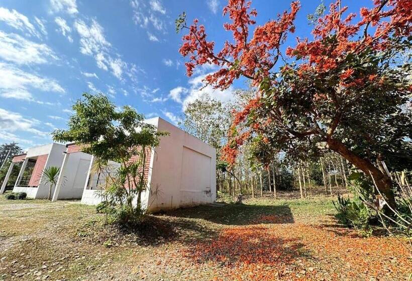 Hotel โรงแรม ต้นสัก เลย รีสอร์ท Tonsak Loei Resort&