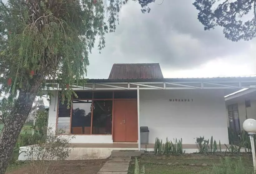 ペンション Kaliaga Bungalow