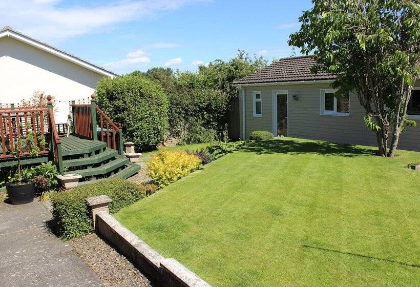 ベッドアンドブレックファースト Premier Room