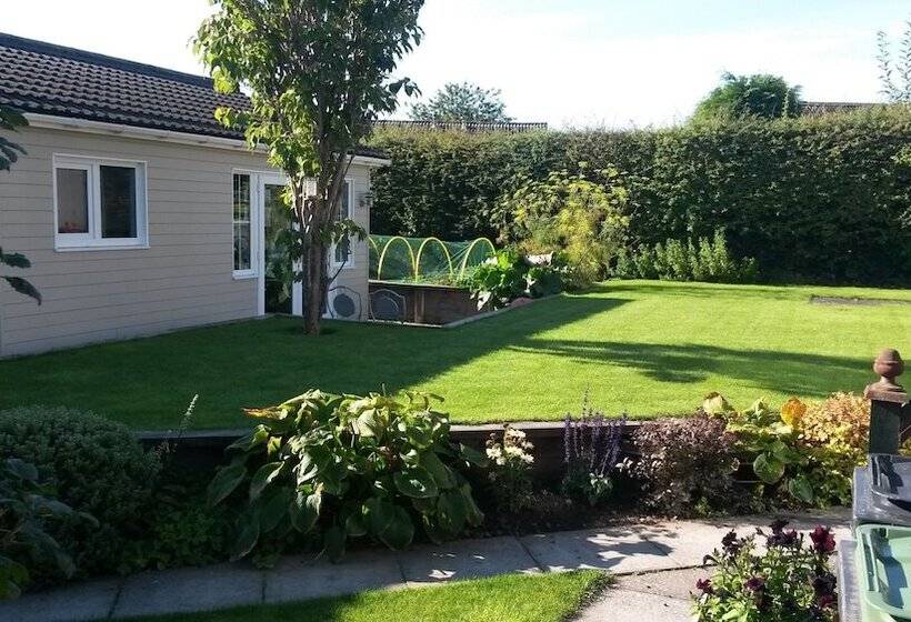 ベッドアンドブレックファースト Premier Room