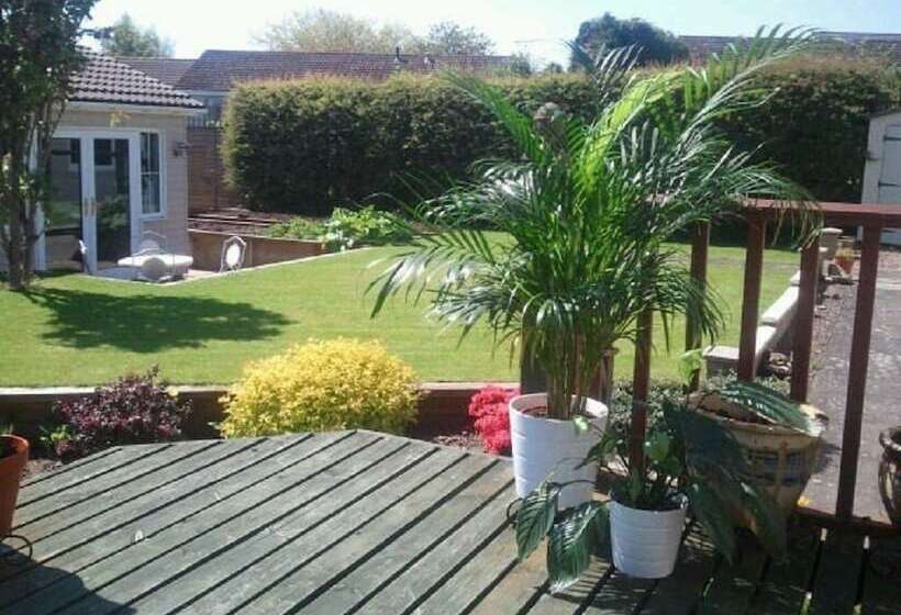 ベッドアンドブレックファースト Premier Room