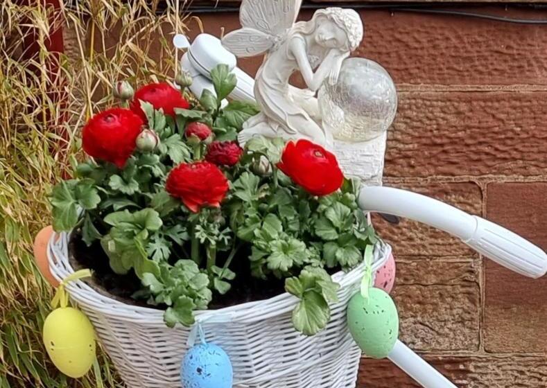 צימר St Leonards Guest House