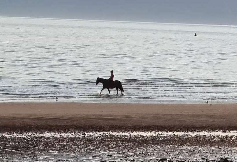 צימר St Leonards Guest House