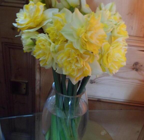 مبيت وإفطار Wild Air Guest House