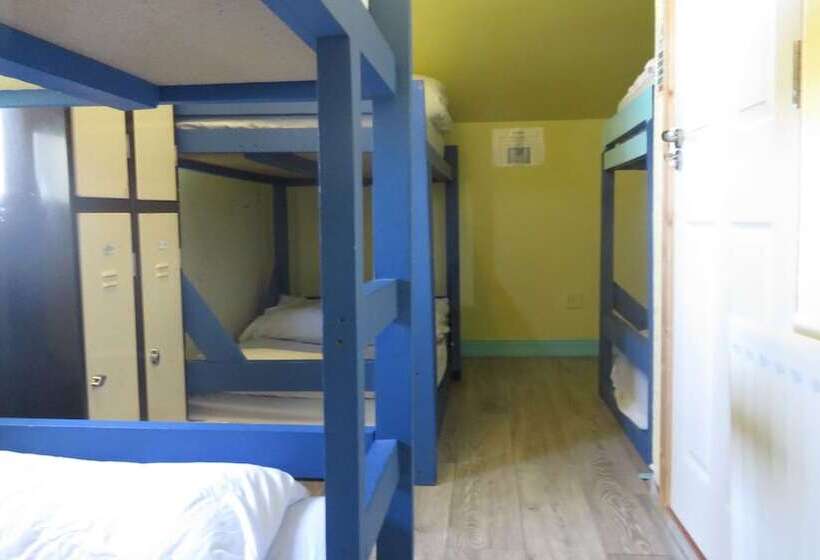 Finn Mccools Giants Causeway Hostel