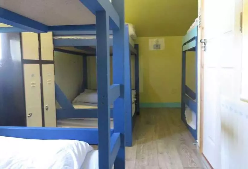 Finn Mccools Giants Causeway Hostel