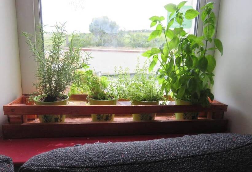 Finn Mccools Giants Causeway Hostel