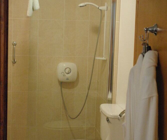 ホテル Killiane Castle Country House & Farm