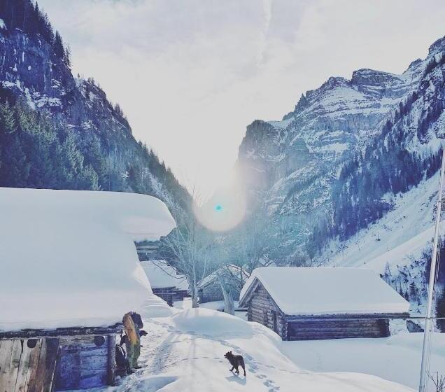 Alphotel & Bergrestaurant Sankt Martin